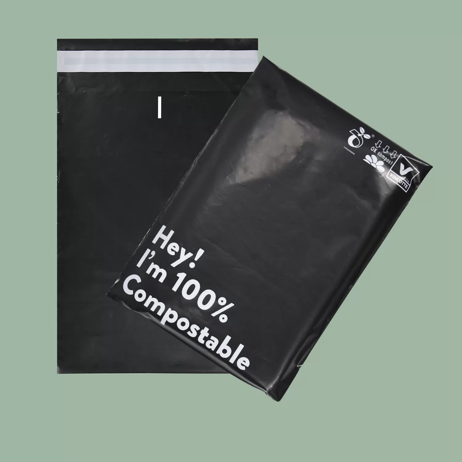 Clothing Product Hot Selling Biodegradable Mailer Bag