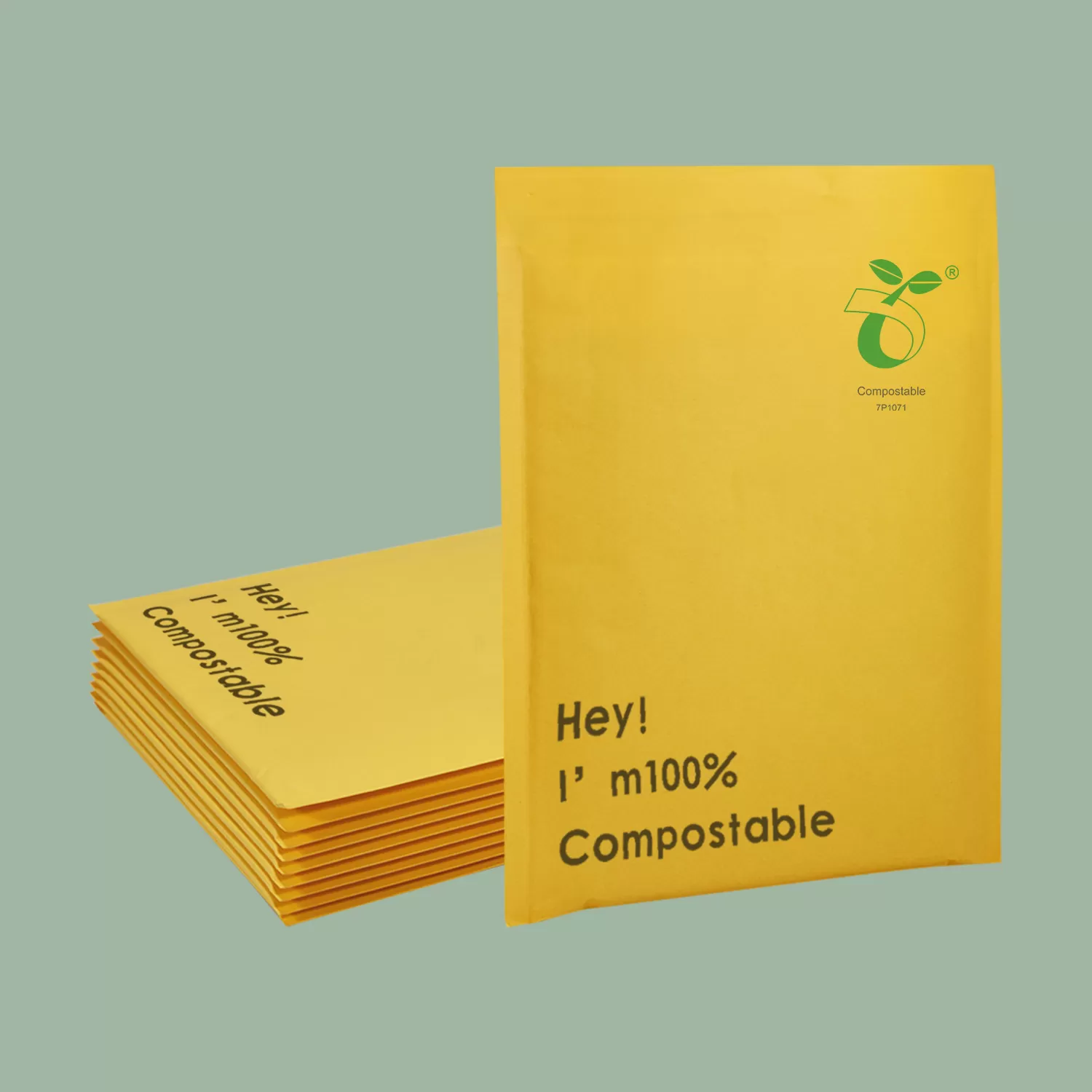 Kraft Paper Bag with Biodegradable Bubble Wrap