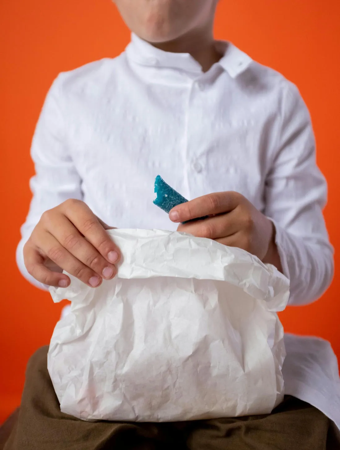 Uses and Advantages of Biodegradable Lunch Bags